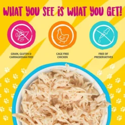 Weruva||Frisco Weruva Paw Lickin' Chicken in Gravy Grain-Free Canned Cat Food, 3-oz, case of 24 + Frisco Refillable Catnip Cat Toy, Brown Squirrel -FRISCO Sales 298762 PT2. SY630 V1623200865