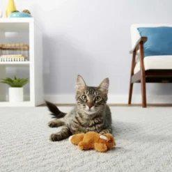 Weruva||Frisco Weruva Paw Lickin' Chicken in Gravy Grain-Free Canned Cat Food, 3-oz, case of 24 + Frisco Refillable Catnip Cat Toy, Brown Squirrel -FRISCO Sales 298762 PT5. SY630 V1623200250