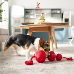 Frisco Lantern Plush with Rope Squeaky Dog Toy -FRISCO Sales 298885 PT3. SY630 V1640269279