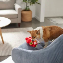 Frisco Dragon Bungee Plush Squeaky Dog Toy 7 Frisco Dragon Bungee Plush Squeaky Dog Toy -FRISCO Sales 298887 PT3. SY630 V1640269125