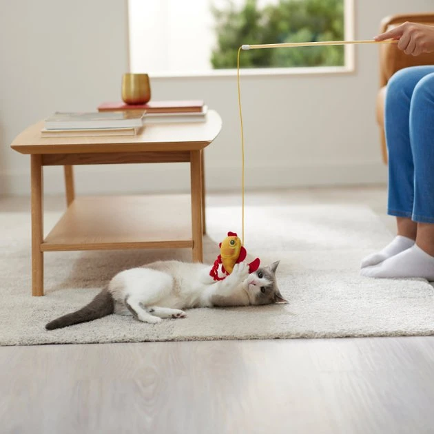 Frisco Flower & Koi Fish Teaser Cat Toy with Catnip 5 Frisco Flower & Koi Fish Teaser Cat Toy with Catnip - Image 3