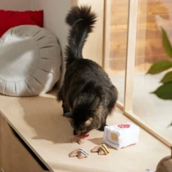 Frisco Fortune Cookie Plush Cat Toy with Catnip, 3 pack -FRISCO Sales 298909 PT3. SY630 V1640269104