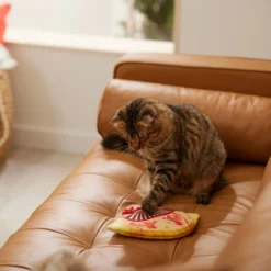 Frisco Fan Plush Squeaky Dog Toy -FRISCO Sales 298911 PT3. SY630 V1640269039