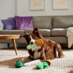 Frisco Cactus Plush Squeaky Dog Toy, 3 count -FRISCO Sales 298921 PT3. SY630 V1638987259