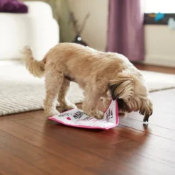 Frisco Valentine MASH Flat Plush Squeaky Dog Toy 7 Frisco Valentine MASH Flat Plush Squeaky Dog Toy -FRISCO Sales 298927 PT3. SY630 V1638987702