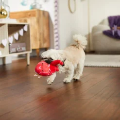 Frisco Anatomical Heart Plush Squeaky Dog Toy -FRISCO Sales 298933 PT3. SY630 V1638987632