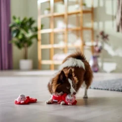 Frisco Lions Plush Squeaky Puppy Toy, 2 count 7 Frisco Lions Plush Squeaky Puppy Toy, 2 count -FRISCO Sales 298935 PT3. SY630 V1638987670