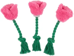 Frisco Roses Plush with Rope Squeaky Dog Toy, 3 count