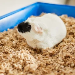 Frisco Corner Litter Box, Navy, Small + Small Animal Bedding, Natural 19 Frisco Corner Litter Box, Navy, Small + Small Animal Bedding, Natural -FRISCO Sales 301910 PT8. SY630 V1644965804