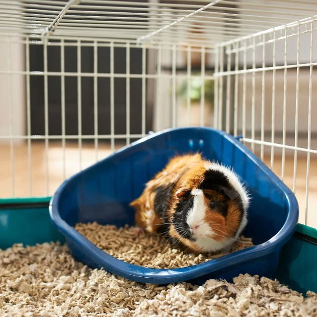 Frisco Corner Litter Box, Navy, X-Small + Small Animal Bedding, White 6 Frisco Corner Litter Box, Navy, X-Small + Small Animal Bedding, White - Image 4