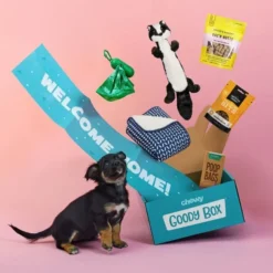 Goody Box||Frisco Goody Box Puppy Toys, Treats & Potty Training + Frisco Extra Large Training & Potty Pads, 28 x 34-in -FRISCO Sales 301946 PT6. SY630 V1657656678