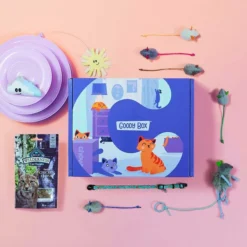 Goody Box||Frisco Goody Box Kitten Toys & Treats + Frisco Multi-Cat Unscented Clumping Clay Cat Litter -FRISCO Sales 301962 PT2. SY630 V1622820745