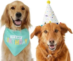 Frisco Birthday Bandana + Confetti Dog & Cat Hat -FRISCO Sales 302368 PT4. SY630 V1633057886