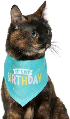 Frisco Birthday B&ana, X-Small/Small + Dog & Cat Hat, X-Small/Small -FRISCO Sales 302374 PT3. SY630 V1633076486