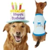 Frisco Birthday Cake Hat, Medium/Large + Dog & Cat T-Shirt, Blue -FRISCO Sales 302376 MAIN. SY630 V1623052351