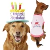 Frisco Birthday Cake Hat, Medium/Large + Dog & Cat T-Shirt, Pink 2 Frisco Birthday Cake Hat, Medium/Large + Dog & Cat T-Shirt, Pink -FRISCO Sales 302384 MAIN. SY630 V1623062548