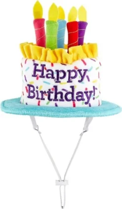 Frisco Birthday Cake Hat, Medium/Large + Dog & Cat T-Shirt, Pink -FRISCO Sales 302384 PT2. SY630 V1623055350