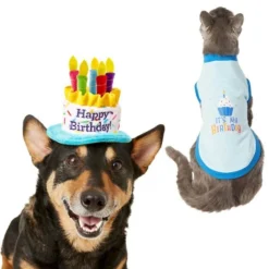 Frisco Birthday Cake Hat, X-Small/Small + Dog & Cat T-Shirt, Blue