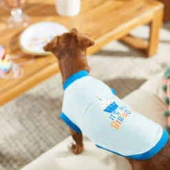 Frisco Birthday Cake Hat, X-Small/Small + Dog & Cat T-Shirt, Blue 18 Frisco Birthday Cake Hat, X-Small/Small + Dog & Cat T-Shirt, Blue -FRISCO Sales 302392 PT7. SY630 V1623061648