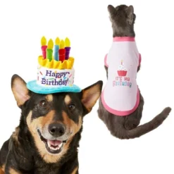 Frisco Birthday Cake Hat, X-Small/Small + Dog & Cat T-Shirt, Pink
