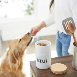 Frisco Ceramic Dog Bowl with Wood Base, 2.5 Cups + Treat Jar, 4 Cups 19 Frisco Ceramic Dog Bowl with Wood Base, 2.5 Cups + Treat Jar, 4 Cups -FRISCO Sales 302418 PT8. SY630 V1623046043