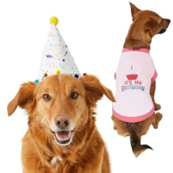 Frisco Confetti Birthday Hat, Medium/Large + Dog & Cat T-Shirt, Pink