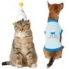 Frisco Confetti Birthday Hat, Small/Medium + Dog & Cat T-Shirt, Blue -FRISCO Sales 302442 MAIN. SY630 V1623087479