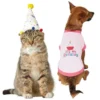 Frisco Confetti Birthday Hat, Small/Medium + Dog & Cat T-Shirt, Pink -FRISCO Sales 302446 MAIN. SY630 V1623043063