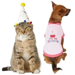 Frisco Confetti Birthday Hat, Small/Medium + Dog & Cat T-Shirt, Pink