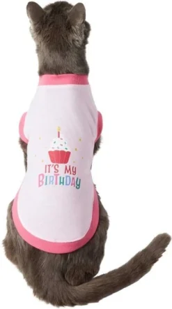 Frisco Confetti Birthday Hat, Small/Medium + Dog & Cat T-Shirt, Pink -FRISCO Sales 302446 PT5. SY630 V1623038847