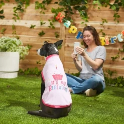 Frisco Confetti Birthday Hat, Small/Medium + Dog & Cat T-Shirt, Pink -FRISCO Sales 302446 PT7. SY630 V1623041262