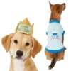 Frisco Happy Birthday Crown, Medium/Large + Dog & Cat T-Shirt, Blue