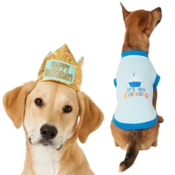 Frisco Happy Birthday Crown, Medium/Large + Dog & Cat T-Shirt, Blue