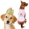 Frisco Happy Birthday Crown, X-Small/Small + Dog & Cat T-Shirt, Pink -FRISCO Sales 302474 MAIN. SY630 V1623048746