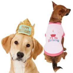 Frisco Happy Birthday Crown, X-Small/Small + Dog & Cat T-Shirt, Pink