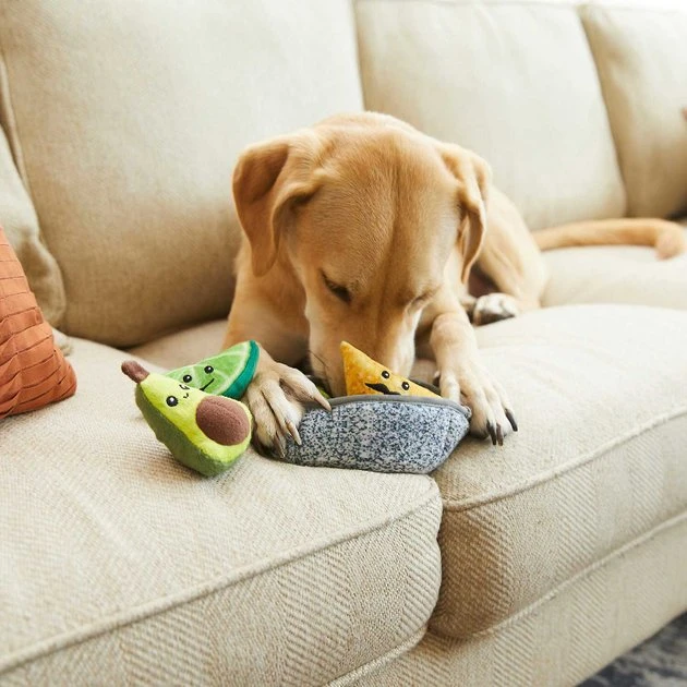 Frisco Hide & Seek Plush Guacamole Dog Toy + Refills, 3-Pack 7 Frisco Hide & Seek Plush Guacamole Dog Toy + Refills, 3-Pack - Image 5