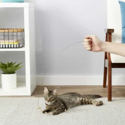 Frisco Wire + Fabric Teaser Cat Toy, Neon Bubbles 11 Frisco Wire + Fabric Teaser Cat Toy, Neon Bubbles -FRISCO Sales 302538 PT3. SY630 V1623035861