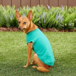 Frisco Basic Dog & Cat T-Shirt, Pink + Teal -FRISCO Sales 302638 PT7. SY630 V1623049944