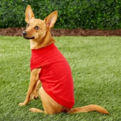 Frisco Basic Dog & Cat T-Shirt, Red + Teal -FRISCO Sales 302650 PT3. SY630 V1623074841