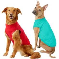 X - Frisco Basic Dog & Cat T-Shirt, Red + Teal, X-Large