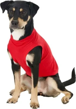 Frisco Basic T-Shirt, Red + Dog & Cat Hoodie, Red 15 Frisco Basic T-Shirt, Red + Dog & Cat Hoodie, Red -FRISCO Sales 302662 PT4. SY630 V1633128173
