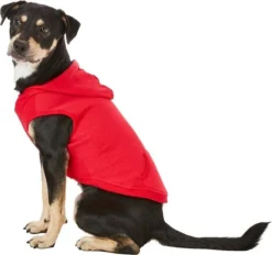 Frisco Basic T-Shirt, Red + Dog & Cat Hoodie, Red 16 Frisco Basic T-Shirt, Red + Dog & Cat Hoodie, Red -FRISCO Sales 302662 PT5. SY630 V1633129055