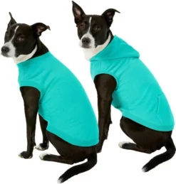 Frisco Basic T-Shirt, Teal + Dog & Cat Hoodie, Teal -FRISCO Sales 302676 PT2. SY630 V1633127879