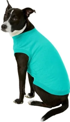 Frisco Basic T-Shirt, Teal + Dog & Cat Hoodie, Teal -FRISCO Sales 302676 PT4. SY630 V1633123589
