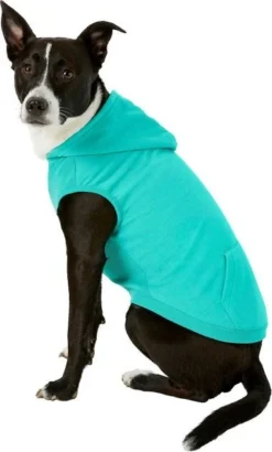Frisco Basic T-Shirt, Teal + Dog & Cat Hoodie, Teal -FRISCO Sales 302676 PT5. SY630 V1633126626