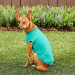 Frisco Basic T-Shirt, Teal + Dog & Cat Hoodie, Teal -FRISCO Sales 302676 PT6. SY630 V1633127770