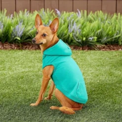 Frisco Basic T-Shirt, Teal + Dog & Cat Hoodie, Teal -FRISCO Sales 302676 PT7. SY630 V1633123351