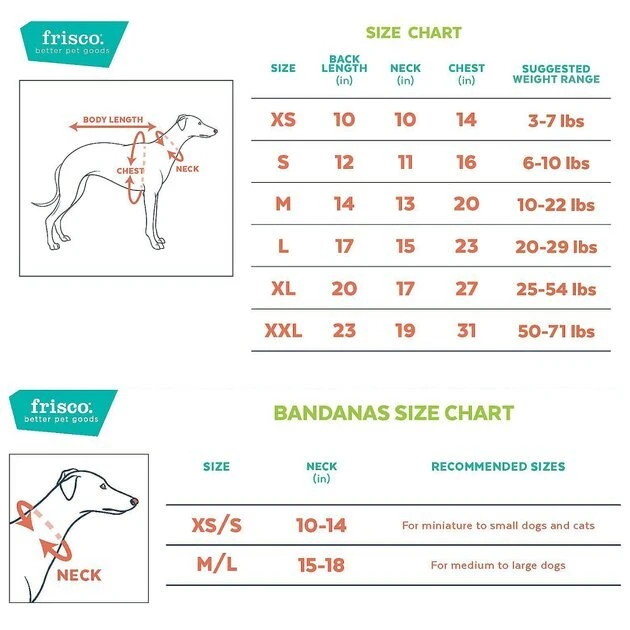 Frisco Birthday Prince Bandana, Medium/Large + Dog & Cat T-Shirt, Blue 4 Frisco Birthday Prince Bandana, Medium/Large + Dog & Cat T-Shirt, Blue - Image 2