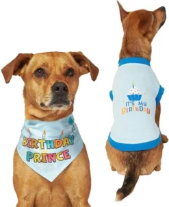 Frisco Birthday Prince Bandana, Medium/Large + Dog & Cat T-Shirt, Blue 13 Frisco Birthday Prince Bandana, Medium/Large + Dog & Cat T-Shirt, Blue -FRISCO Sales 302690 PT2. SY630 V1633059989