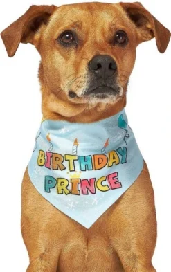 Frisco Birthday Prince Bandana, Medium/Large + Dog & Cat T-Shirt, Blue 14 Frisco Birthday Prince Bandana, Medium/Large + Dog & Cat T-Shirt, Blue -FRISCO Sales 302690 PT3. SY630 V1633075586